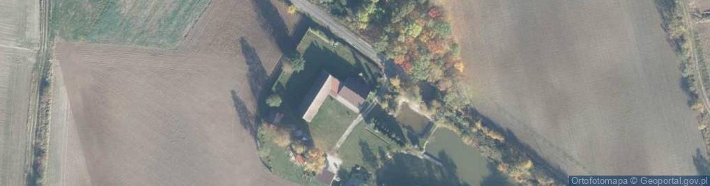 Zdjęcie satelitarne Drzonek ul.