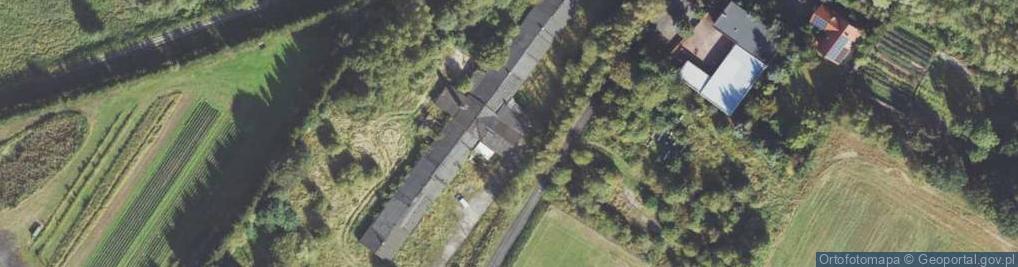 Zdjęcie satelitarne Drzewna ul.