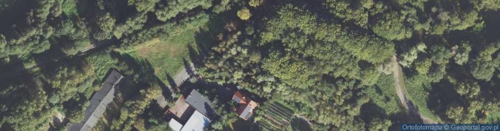 Zdjęcie satelitarne Drzewna ul.