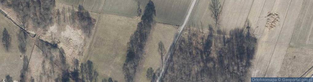 Zdjęcie satelitarne Drozdowa ul.