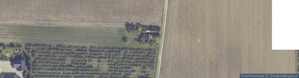 Zdjęcie satelitarne Drzewiec ul.