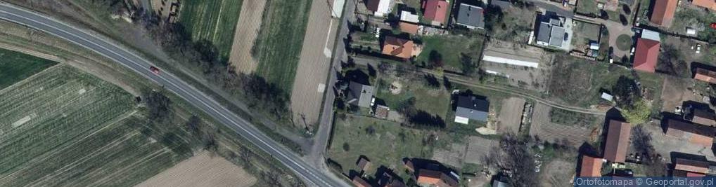 Zdjęcie satelitarne Drzewna ul.