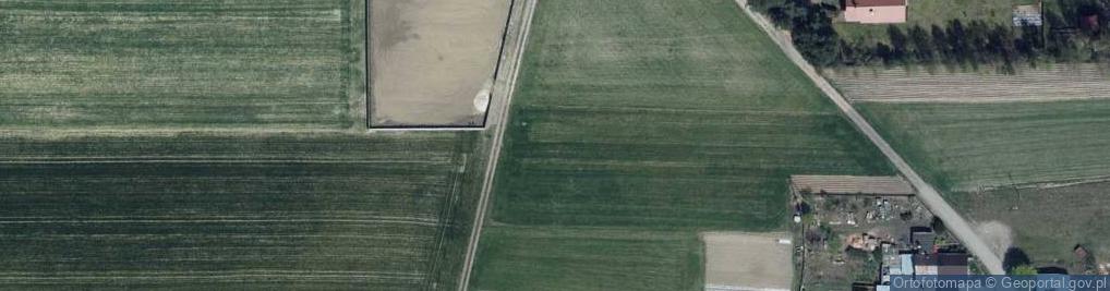 Zdjęcie satelitarne Drzewna ul.