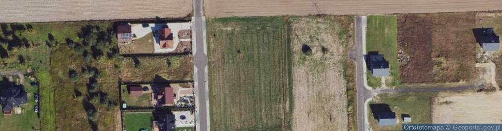 Zdjęcie satelitarne Drzewna ul.