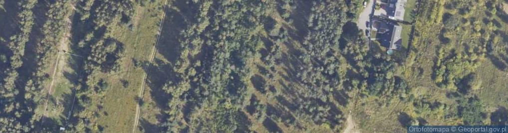 Zdjęcie satelitarne Drzymały Wojciecha Michała ul.