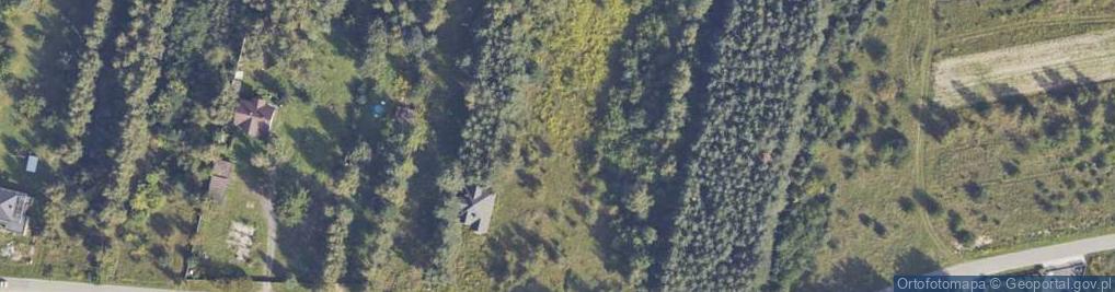 Zdjęcie satelitarne Drzymały Wojciecha Michała ul.