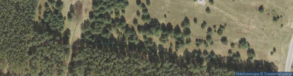 Zdjęcie satelitarne Drzonków-Sosnowy Zakątek ul.