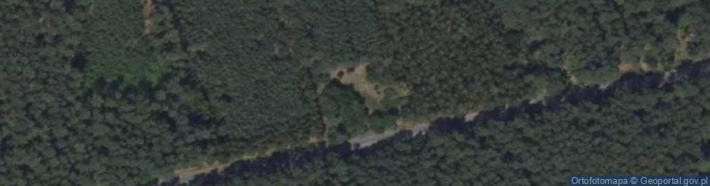 Zdjęcie satelitarne Duninów Duży ul.