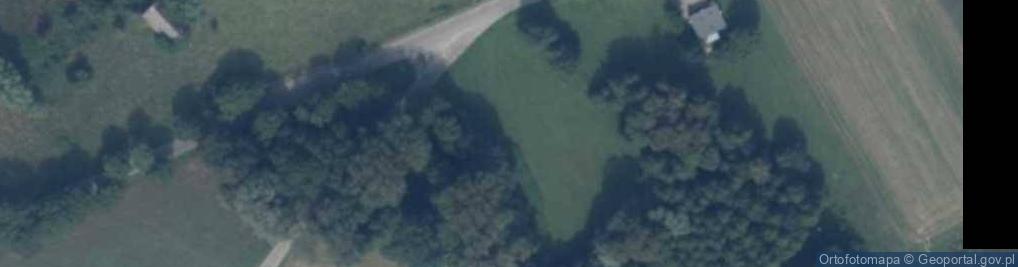 Zdjęcie satelitarne Dusin ul.
