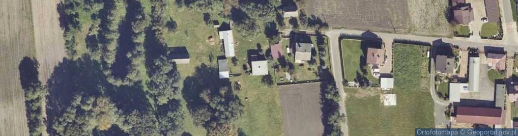 Zdjęcie satelitarne Dwór ul.
