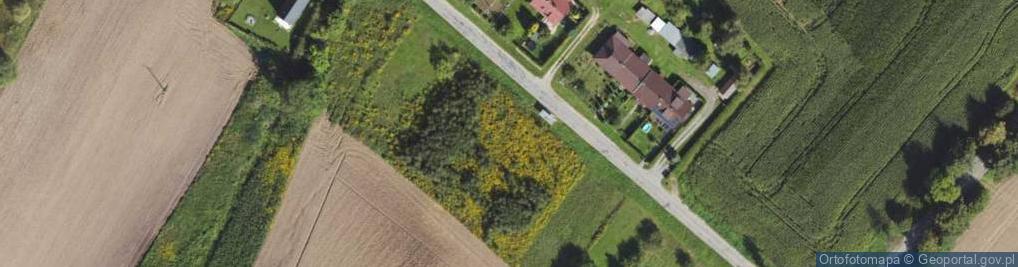 Zdjęcie satelitarne Dworkowa ul.