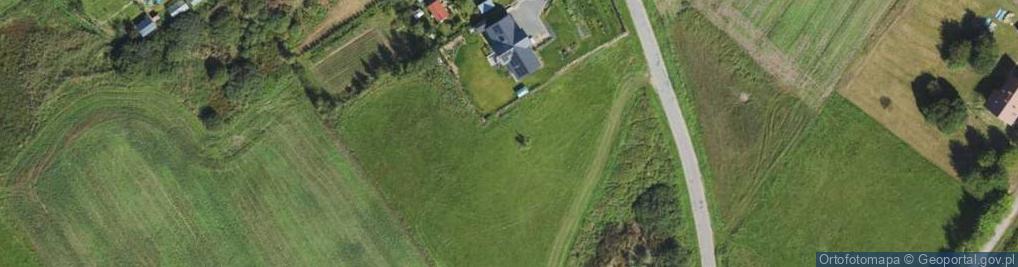 Zdjęcie satelitarne Dworkowa ul.