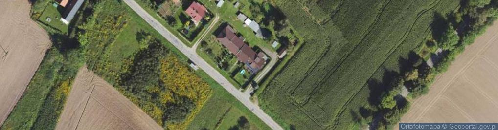 Zdjęcie satelitarne Dworkowa ul.