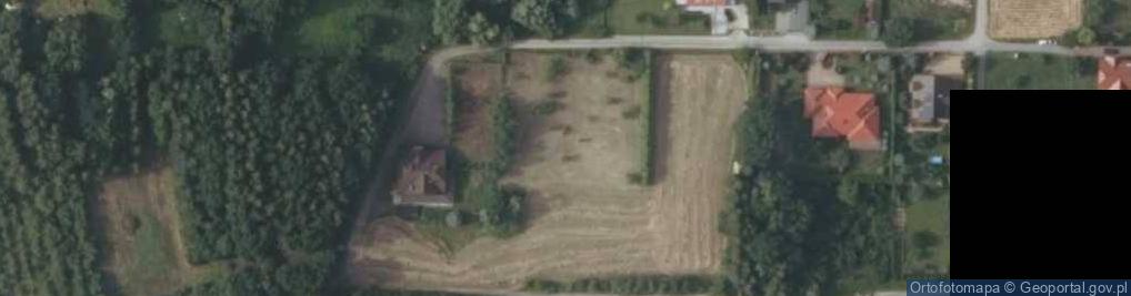 Zdjęcie satelitarne Dworska ul.