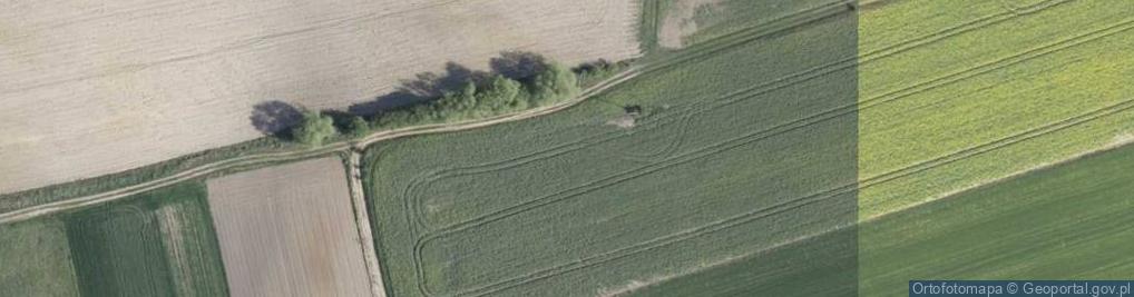 Zdjęcie satelitarne Dworska ul.