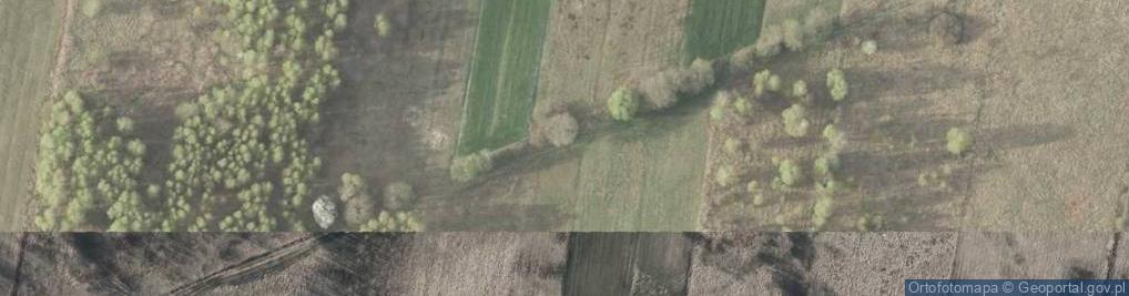 Zdjęcie satelitarne Dworska ul.