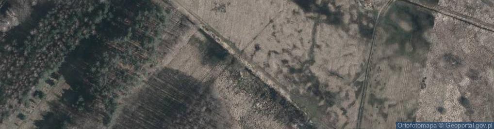 Zdjęcie satelitarne Dworska ul.