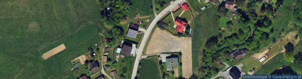 Zdjęcie satelitarne Dworska ul.