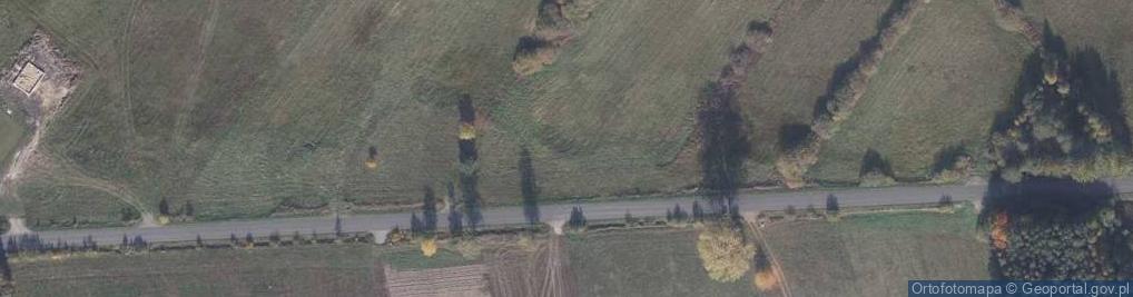 Zdjęcie satelitarne Dworska ul.