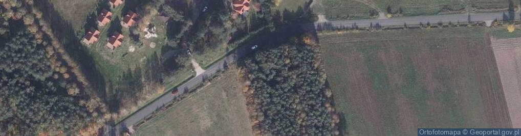 Zdjęcie satelitarne Dworska ul.