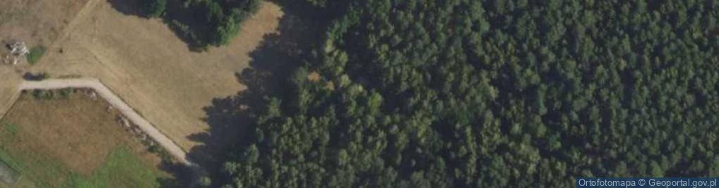 Zdjęcie satelitarne Dworska ul.