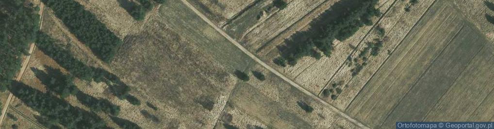 Zdjęcie satelitarne Dworska ul.