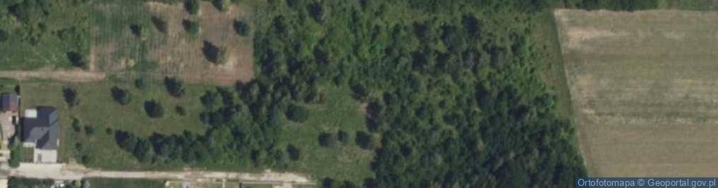 Zdjęcie satelitarne Dworkowa ul.