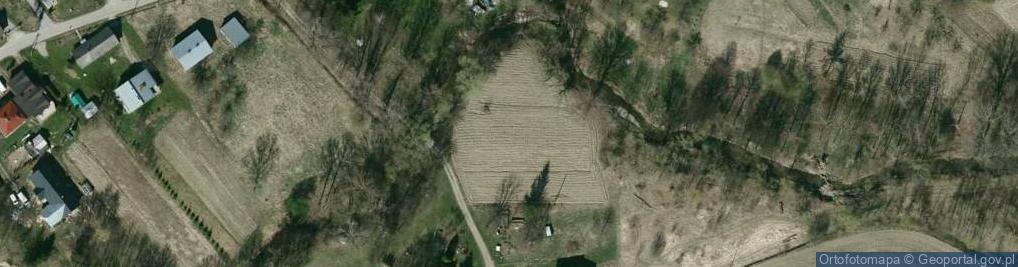 Zdjęcie satelitarne Dworska ul.