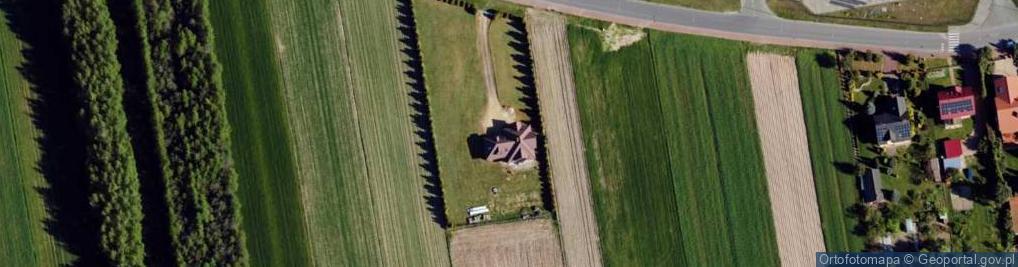 Zdjęcie satelitarne Dworska ul.