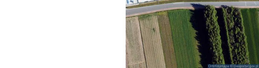 Zdjęcie satelitarne Dworska ul.