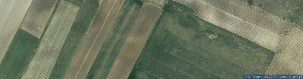 Zdjęcie satelitarne Dworska ul.