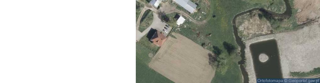 Zdjęcie satelitarne Dworna ul.