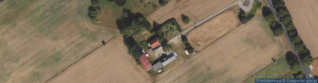Zdjęcie satelitarne Dylewo ul.