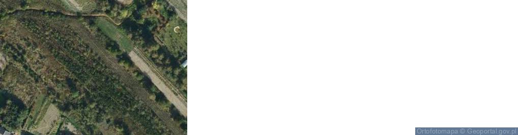 Zdjęcie satelitarne Dymitrów Duży ul.
