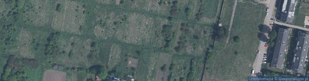 Zdjęcie satelitarne Działkowa ul.