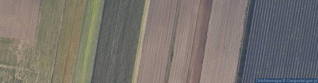 Zdjęcie satelitarne Działkowa ul.