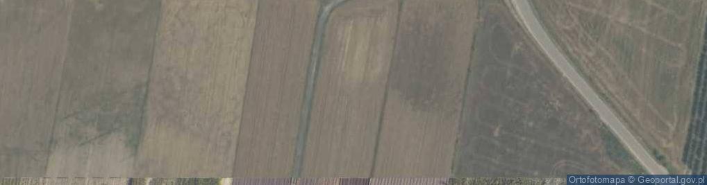 Zdjęcie satelitarne Działkowa ul.