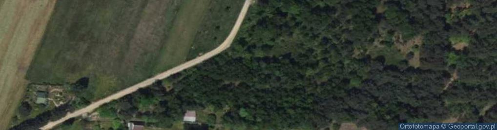 Zdjęcie satelitarne Działkowa ul.