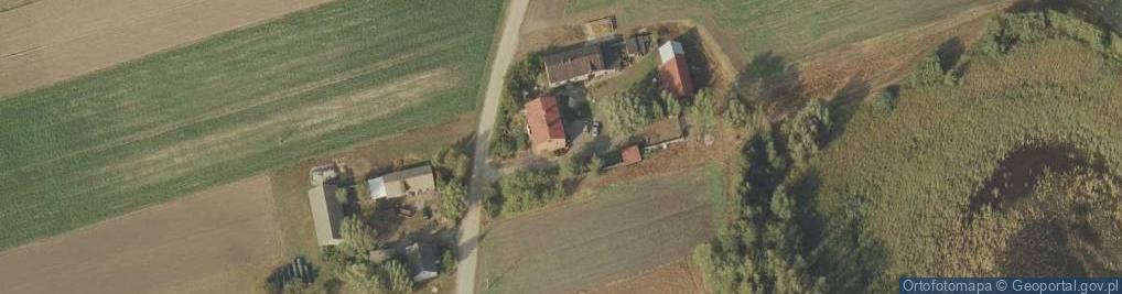 Zdjęcie satelitarne Działy ul.