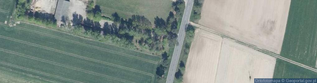 Zdjęcie satelitarne Dziadkowice ul.