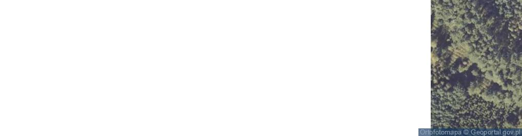 Zdjęcie satelitarne Dziadowice-Folwark ul.