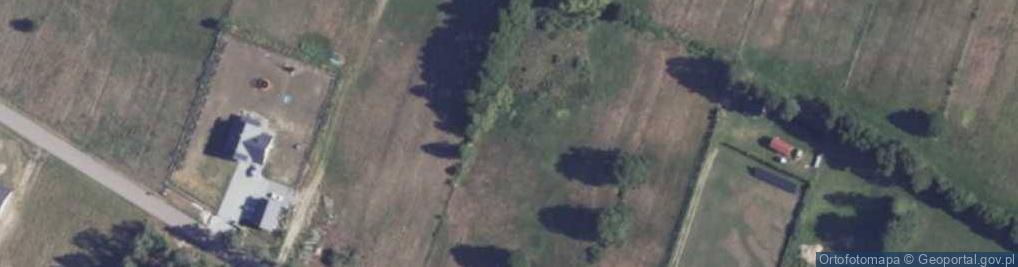 Zdjęcie satelitarne Działyń ul.