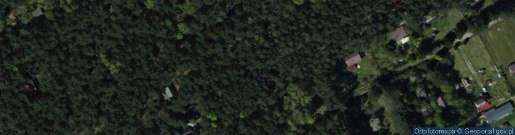 Zdjęcie satelitarne Dziektarzew ul.