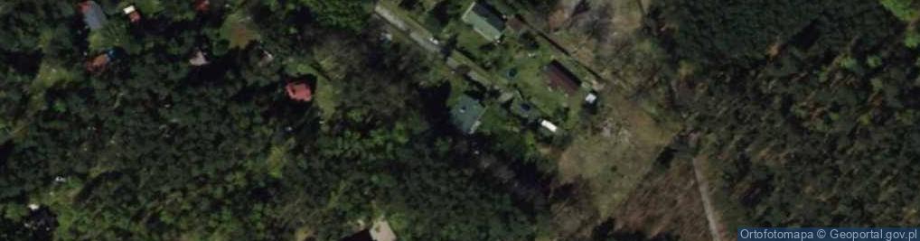 Zdjęcie satelitarne Dziektarzew ul.