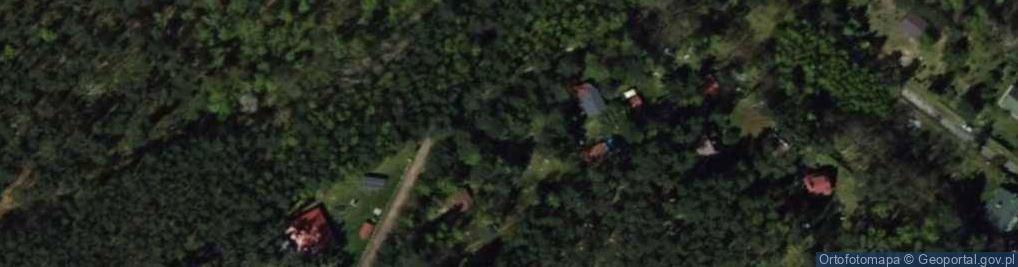 Zdjęcie satelitarne Dziektarzew ul.
