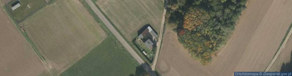 Zdjęcie satelitarne Dzielów ul.