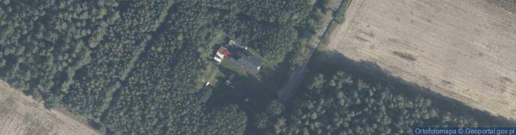 Zdjęcie satelitarne Dziembowo ul.
