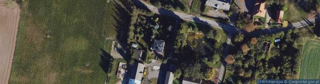 Zdjęcie satelitarne Dziemiony ul.