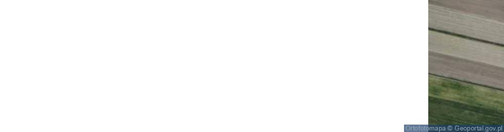 Zdjęcie satelitarne Dzierzbiętów Duży ul.