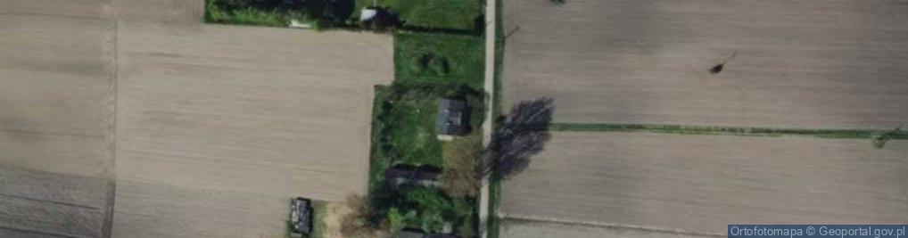 Zdjęcie satelitarne Dzierzbiętów Duży ul.